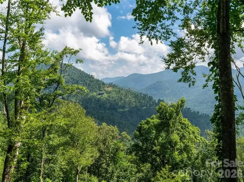 36 Cary Lane Asheville NC 28804