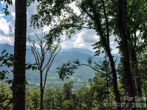 36 Cary Lane Asheville NC 28804