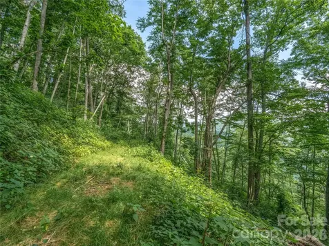 36 Cary Lane Asheville NC 28804