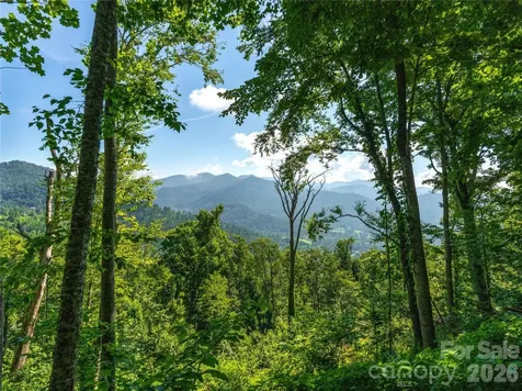 36 Cary Lane Asheville NC 28804