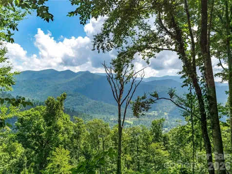 36 Cary Lane Asheville NC 28804