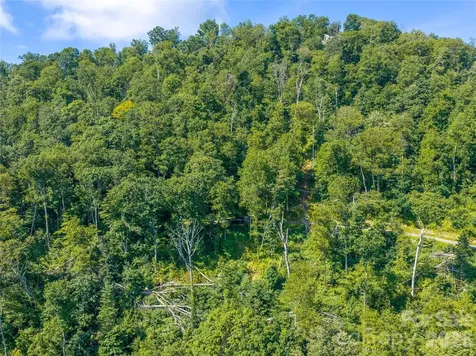 36 Cary Lane Asheville NC 28804