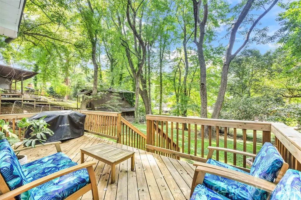 2213 Lanier Avenue Charlotte NC 28205