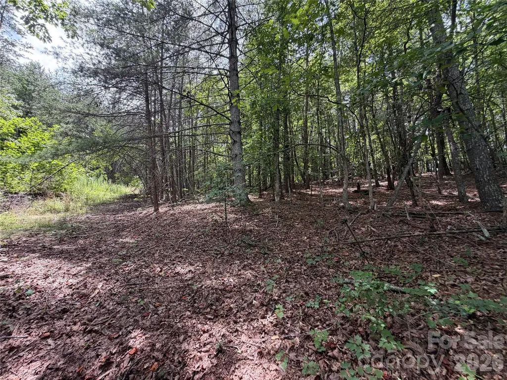 5022 Old Nc 18 Highway Connelly Springs NC 28612