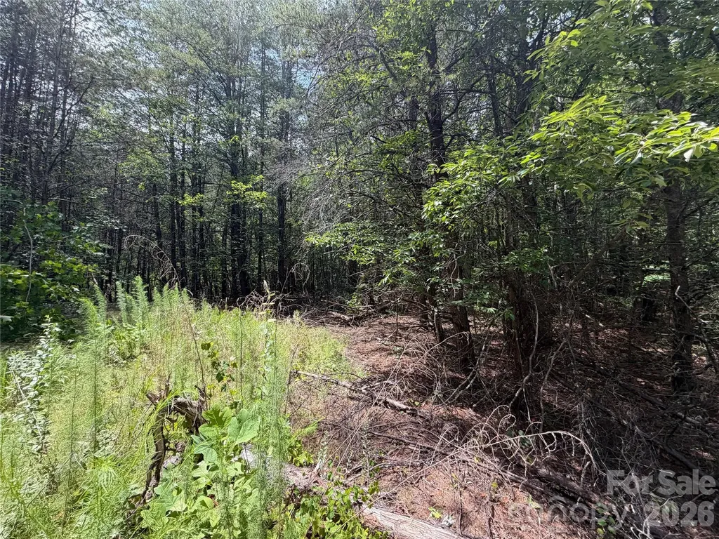 5022 Old Nc 18 Highway Connelly Springs NC 28612