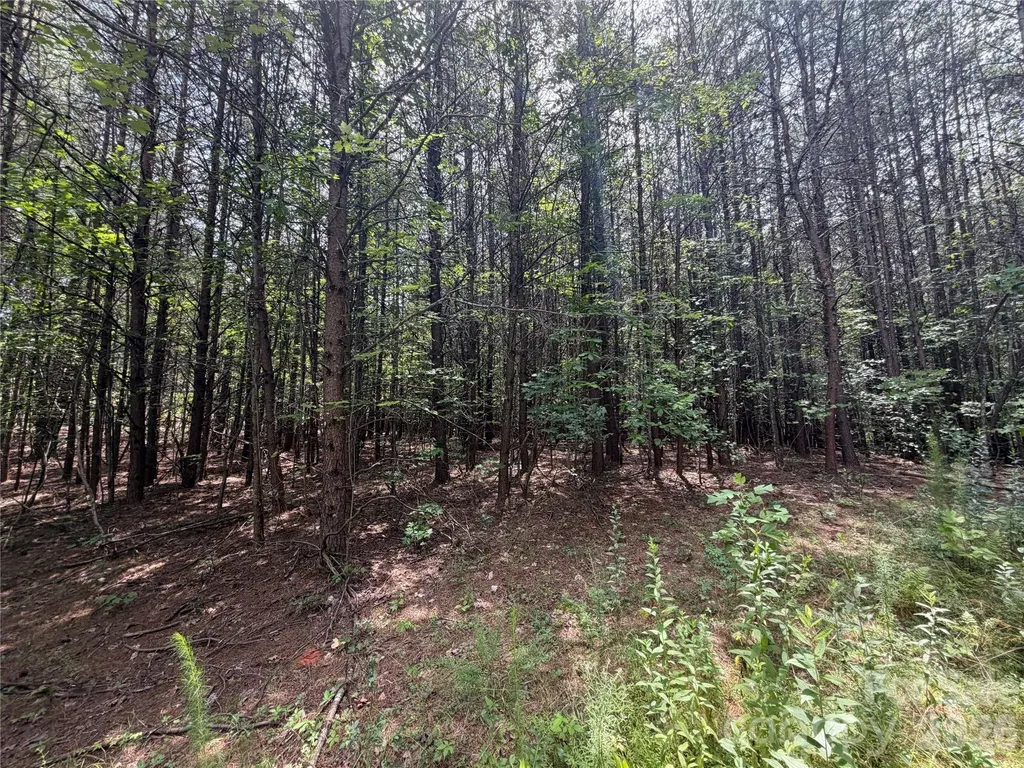 5022 Old Nc 18 Highway Connelly Springs NC 28612