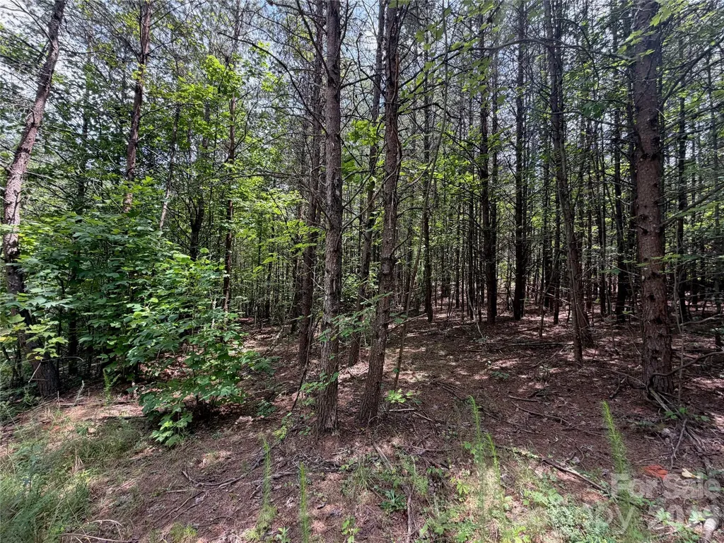 5022 Old Nc 18 Highway Connelly Springs NC 28612