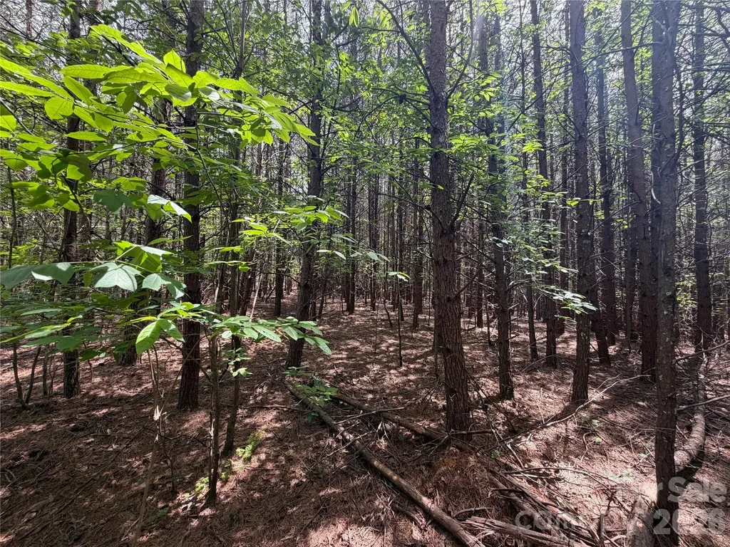 5022 Old Nc 18 Highway Connelly Springs NC 28612