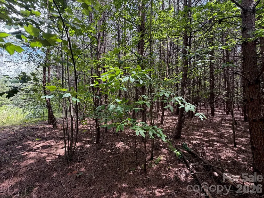 5022 Old Nc 18 Highway Connelly Springs NC 28612
