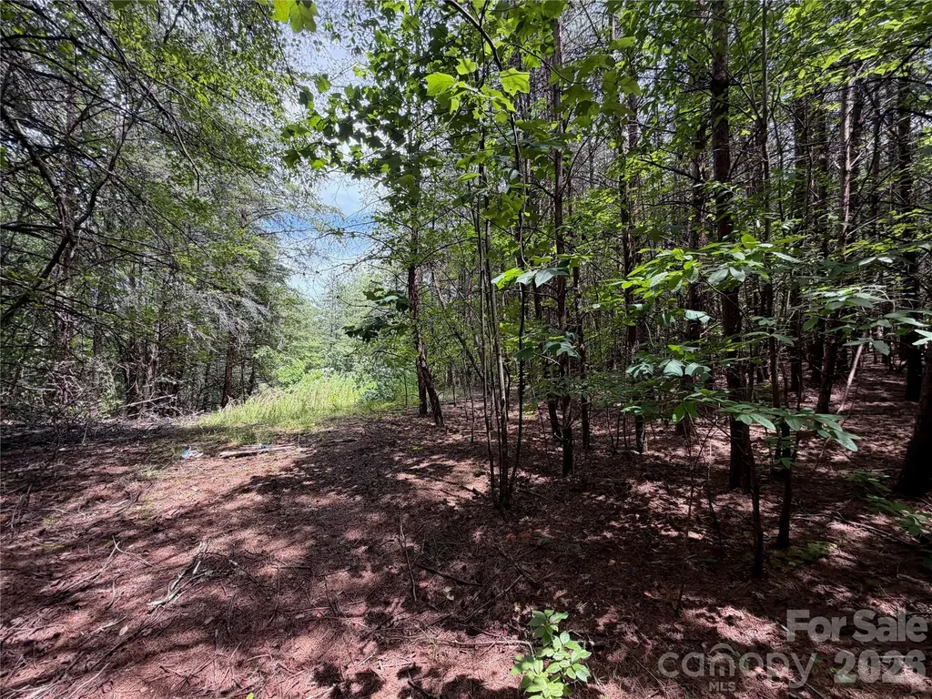 5022 Old Nc 18 Highway Connelly Springs NC 28612