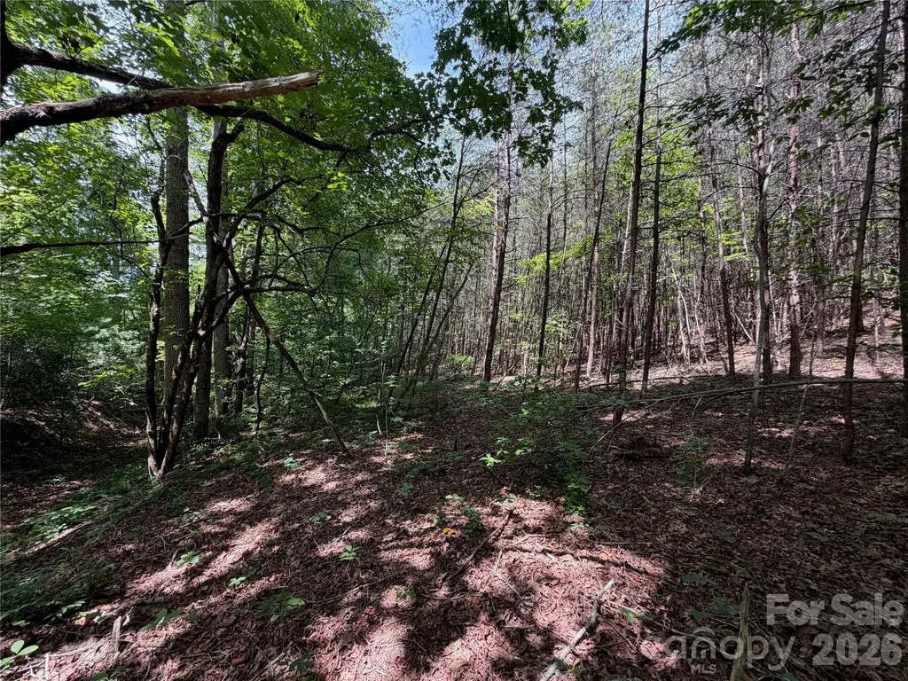 5022 Old Nc 18 Highway Connelly Springs NC 28612
