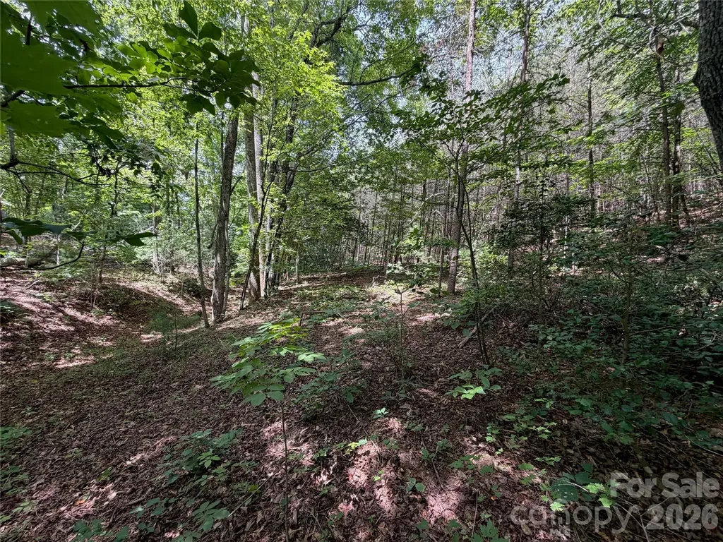 5022 Old Nc 18 Highway Connelly Springs NC 28612