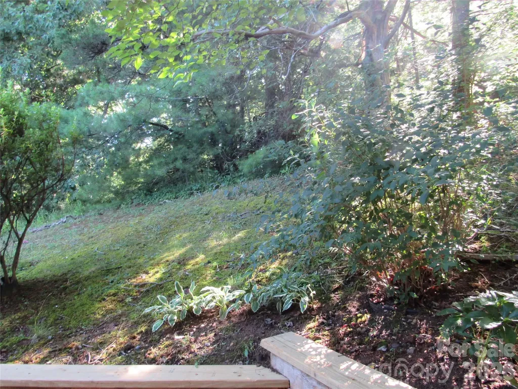 6 Woodlands Drive Black Mountain NC 28711