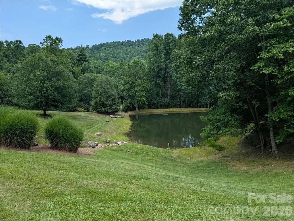 115 Ivywood Lane Laurel Park NC 28739