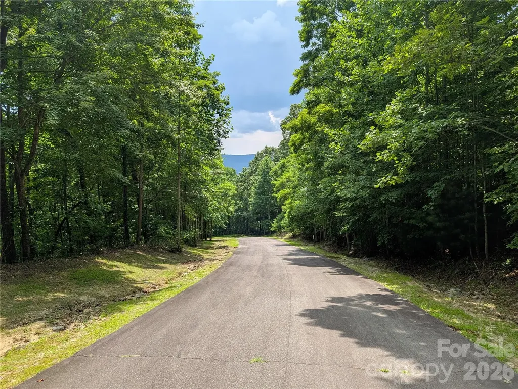 115 Ivywood Lane Laurel Park NC 28739