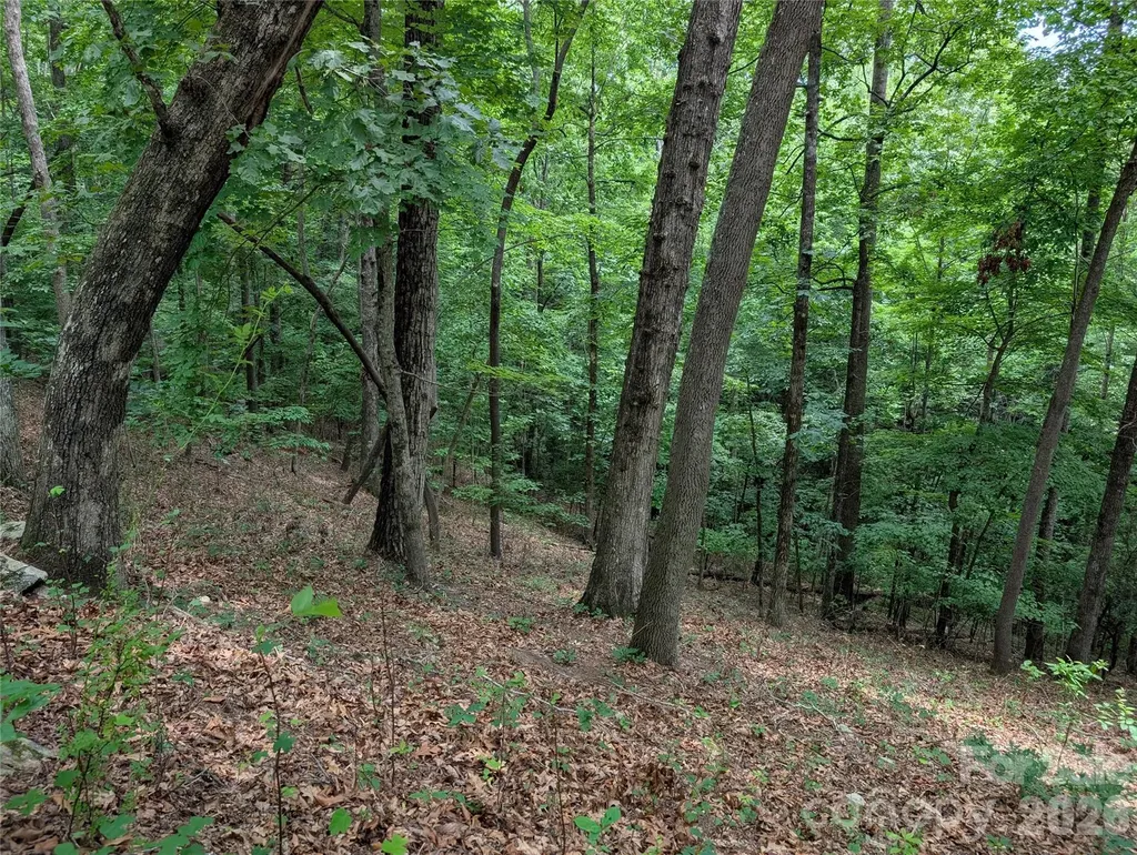 115 Ivywood Lane Laurel Park NC 28739