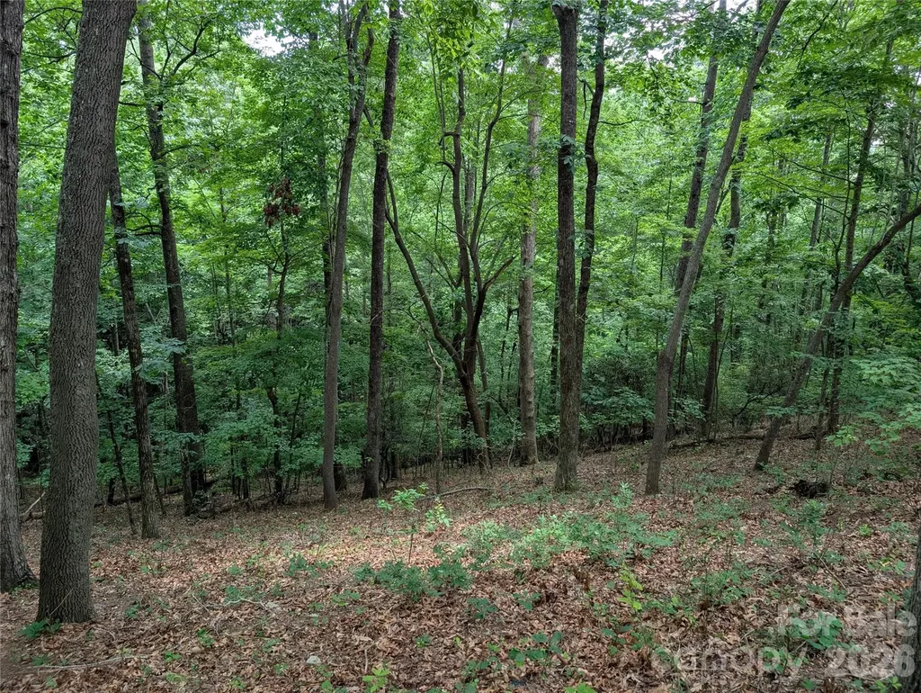 115 Ivywood Lane Laurel Park NC 28739