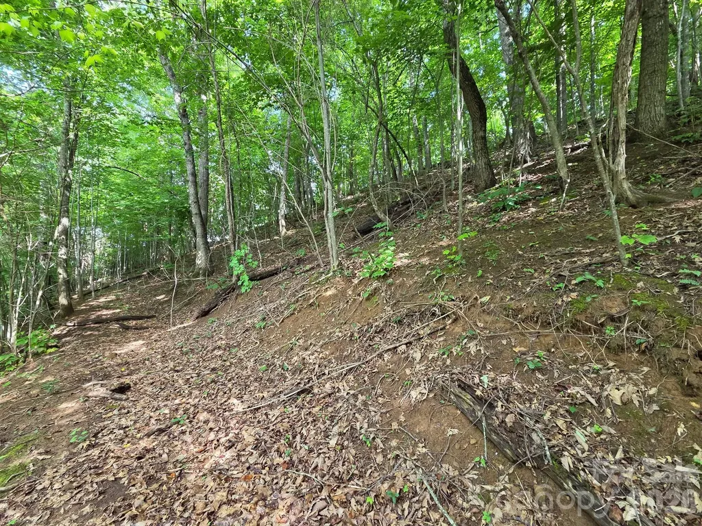 Tbd Grandview Cliff Heights Waynesville NC 28751