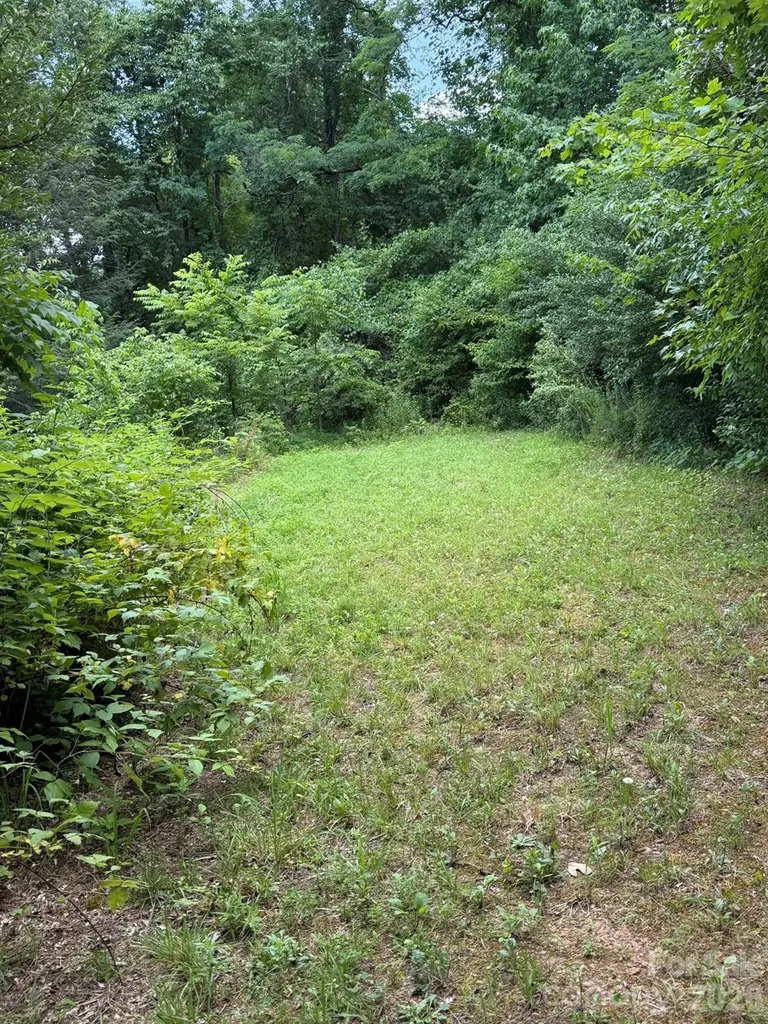 142 Avondale Road Asheville NC 28803