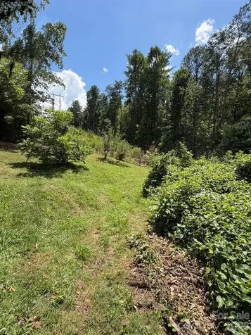 142 Avondale Road Asheville NC 28803