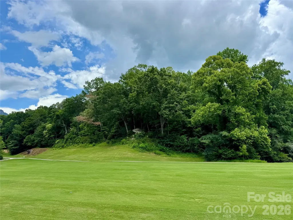 307 Fairway Drive Lake Lure NC 28746