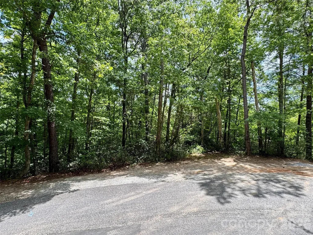 307 Fairway Drive Lake Lure NC 28746