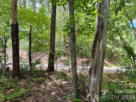 307 Fairway Drive Lake Lure NC 28746