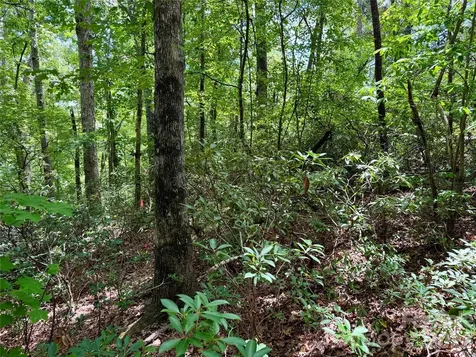 307 Fairway Drive Lake Lure NC 28746
