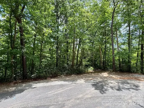 307 Fairway Drive Lake Lure NC 28746