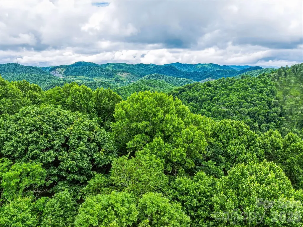 961 Wilson Branch Road Mars Hill NC 28754