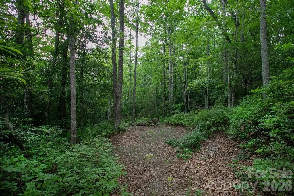 Lot 28 Big Hill Road Brevard NC 28712