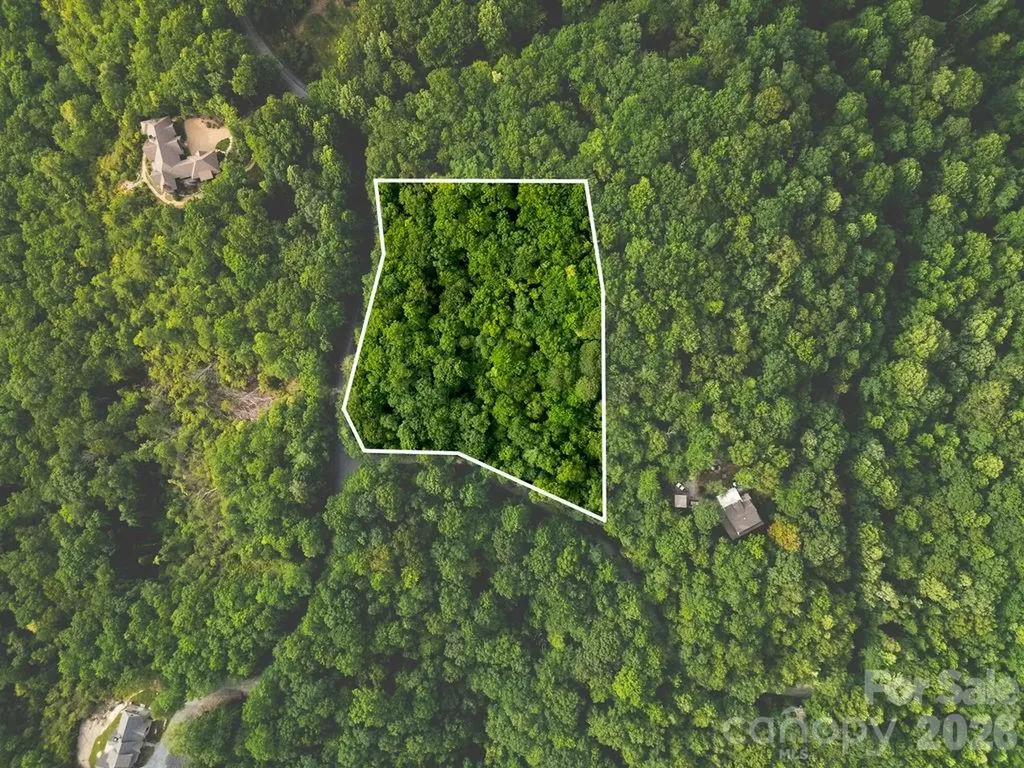 Lot 28 Big Hill Road Brevard NC 28712