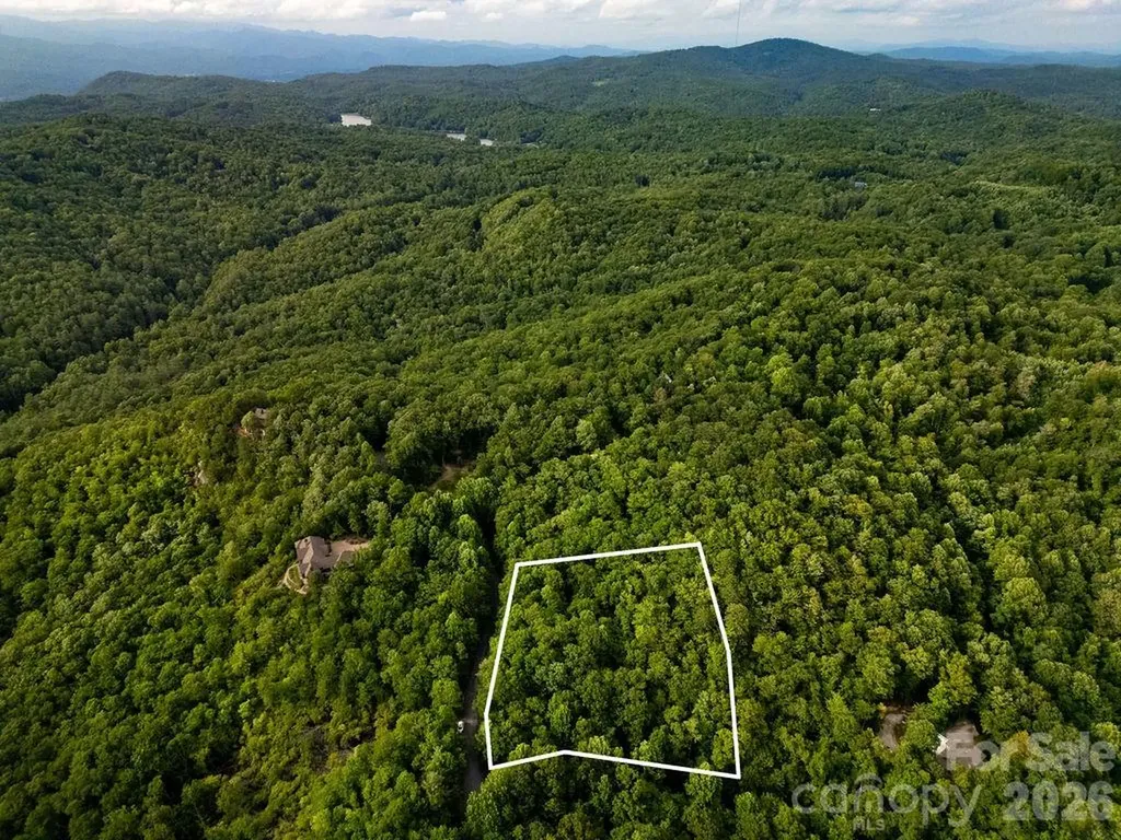 Lot 28 Big Hill Road Brevard NC 28712