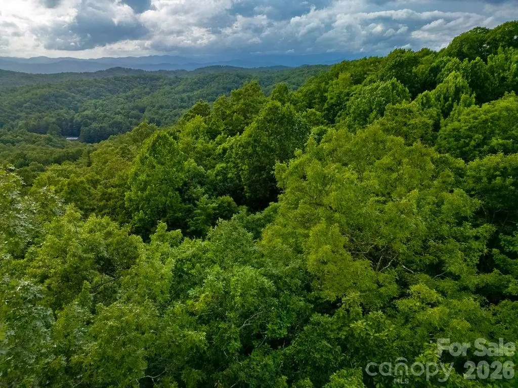 Lot 28 Big Hill Road Brevard NC 28712