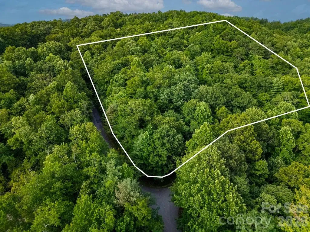 Lot 28 Big Hill Road Brevard NC 28712