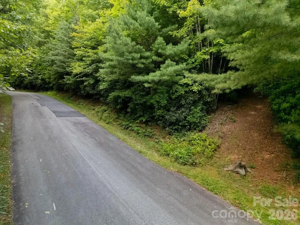 Lot 28 Big Hill Road Brevard NC 28712