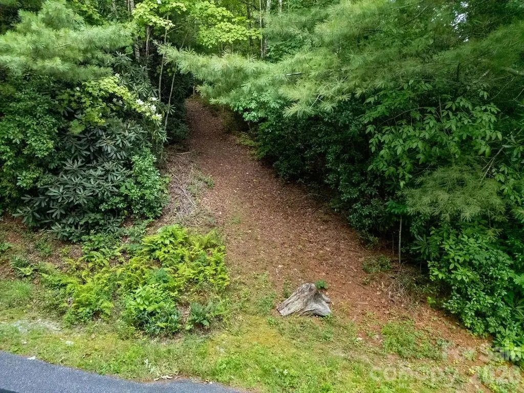 Lot 28 Big Hill Road Brevard NC 28712
