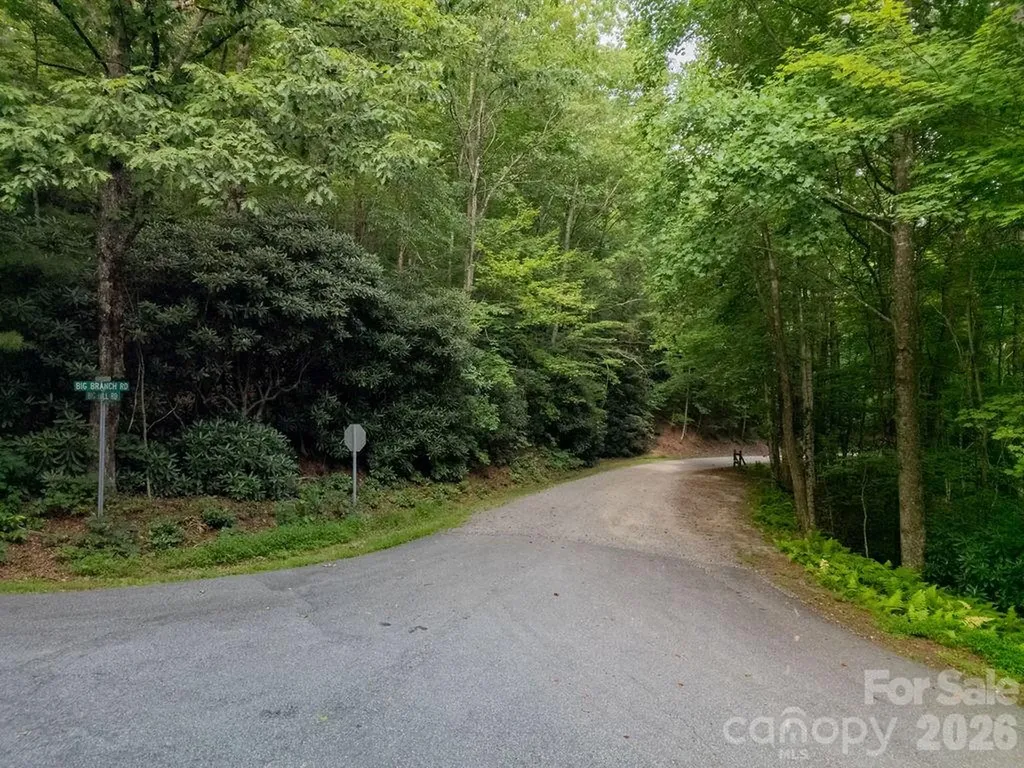 Lot 28 Big Hill Road Brevard NC 28712