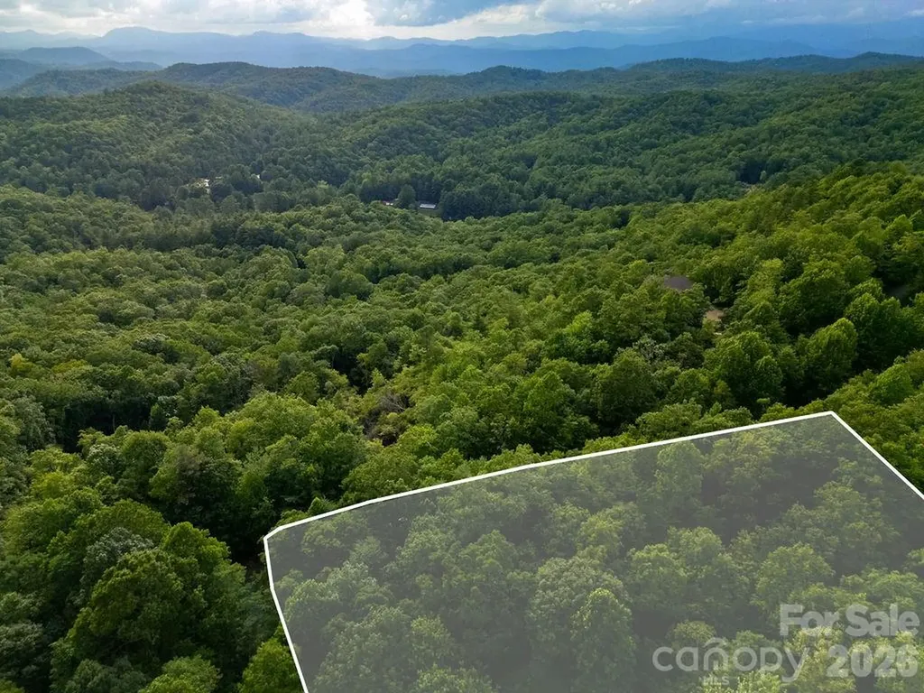 Lot 28 Big Hill Road Brevard NC 28712