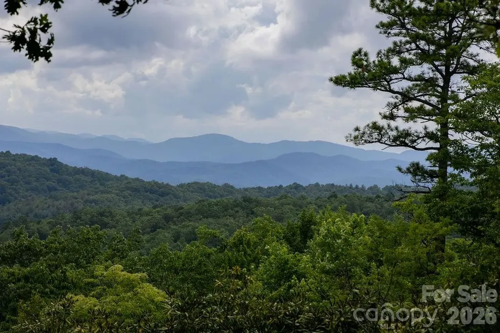 Lot 28 Big Hill Road Brevard NC 28712