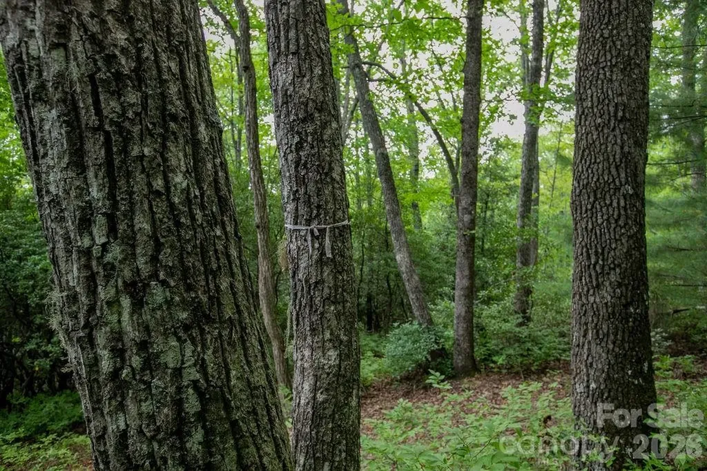 Lot 28 Big Hill Road Brevard NC 28712