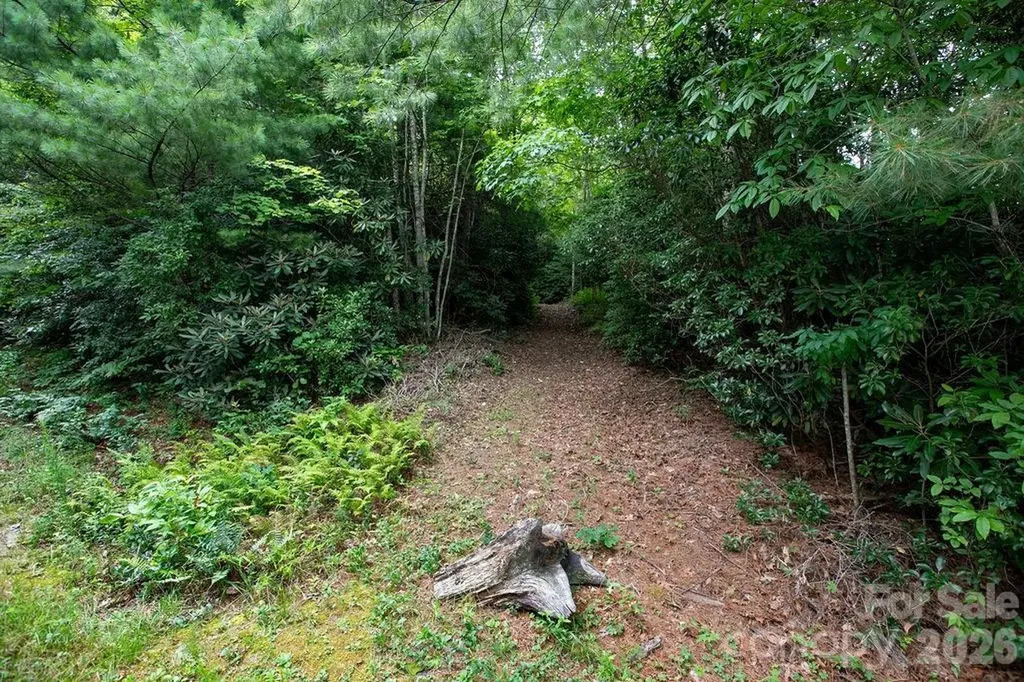 Lot 28 Big Hill Road Brevard NC 28712