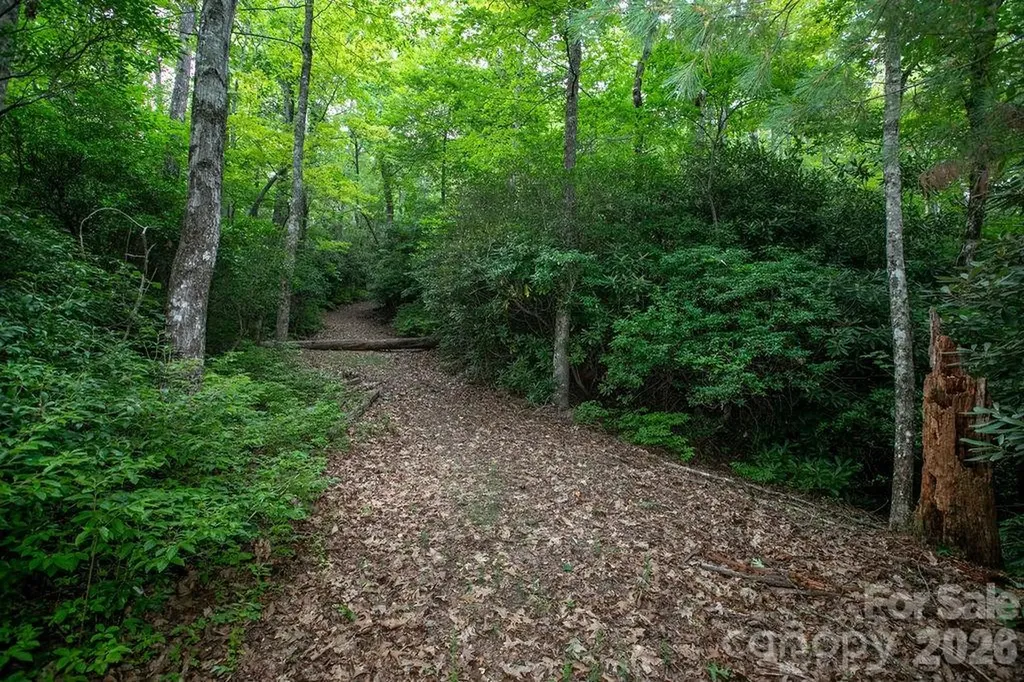 Lot 28 Big Hill Road Brevard NC 28712