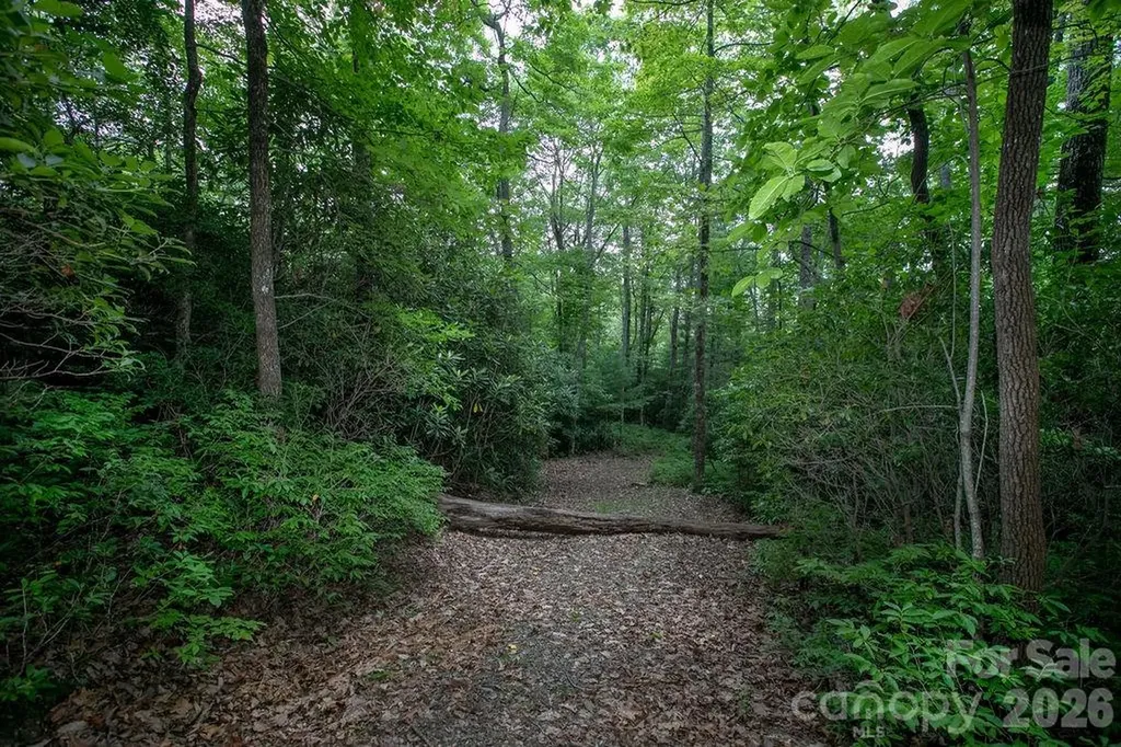 Lot 28 Big Hill Road Brevard NC 28712