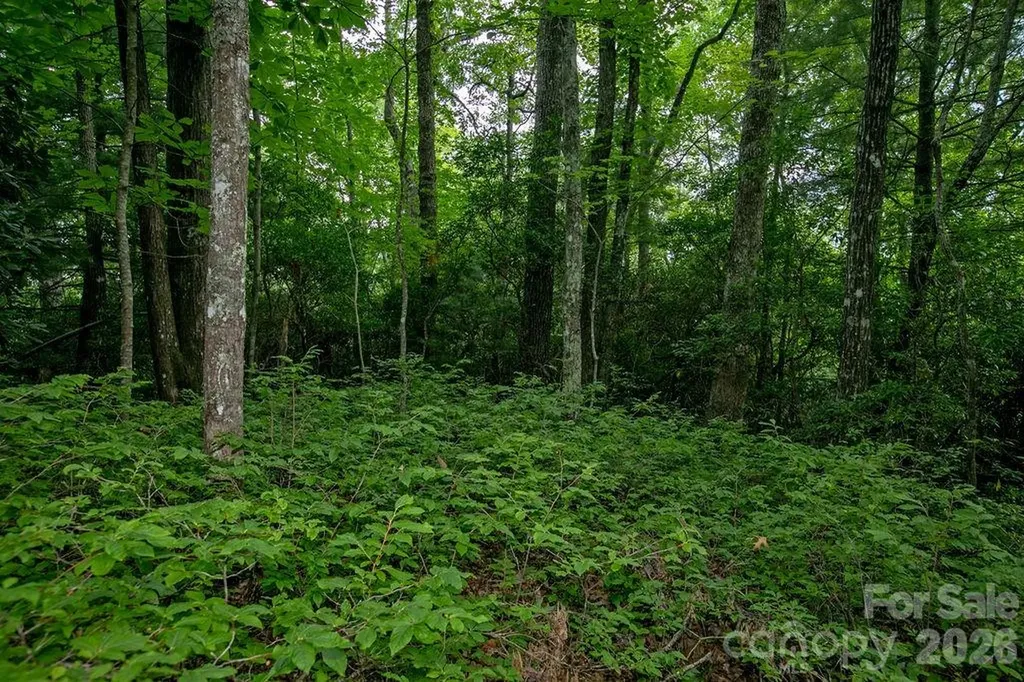 Lot 28 Big Hill Road Brevard NC 28712