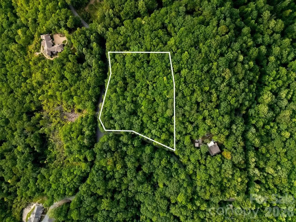 Lot 28 Big Hill Road Brevard NC 28712