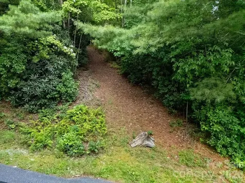 Lot 28 Big Hill Road Brevard NC 28712