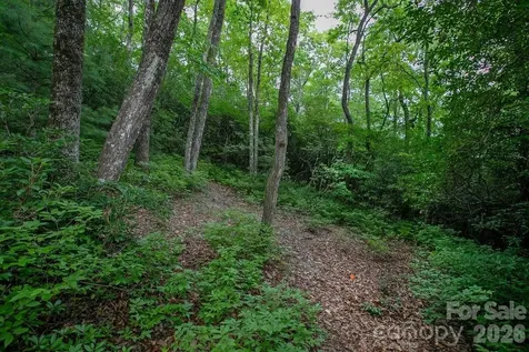 Lot 28 Big Hill Road Brevard NC 28712