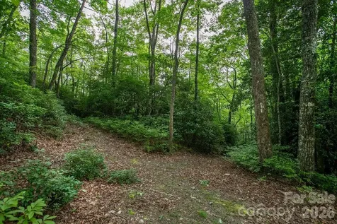 Lot 28 Big Hill Road Brevard NC 28712