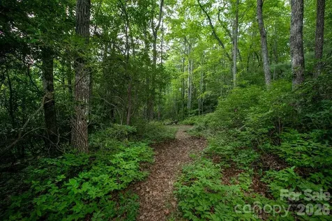 Lot 28 Big Hill Road Brevard NC 28712